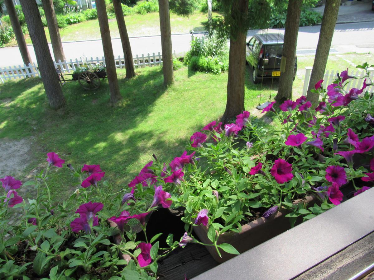 Bed and Breakfast ペンション ちゃうちゃう Hakuba Exterior foto