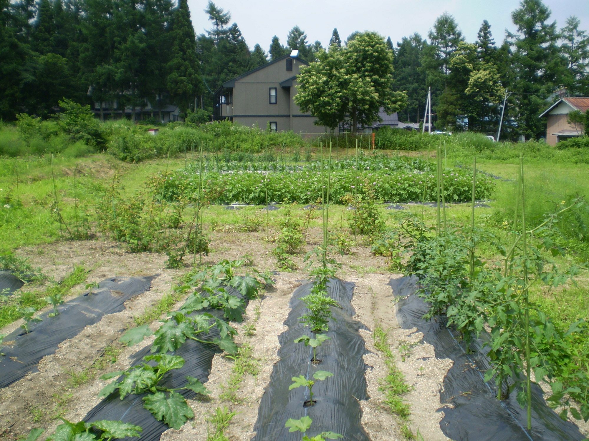 Bed and Breakfast ペンション ちゃうちゃう Hakuba Exterior foto